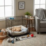 Shelter Secrets Revealed: 15 Must-Do Prep Steps Before You Snag That Instant Furry Family Member (And Avoid Heartbreaking Returns!)