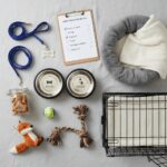 The Same-Day Dog Adoption Checklist: What to Bring, Ask, and Do Before You Sign